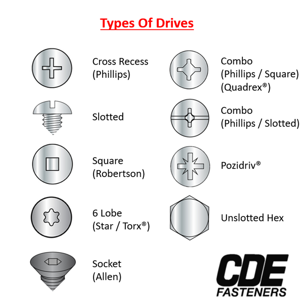 7 Types Of Screws Every Homeowner Should Know About - Common Fasteners