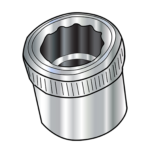 Socket Allen Nuts - 18-8 Stainless