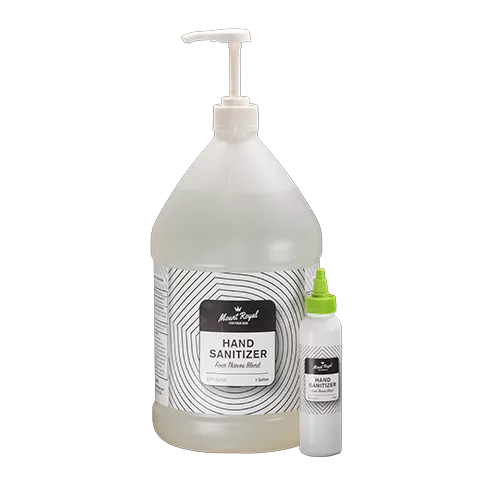 1 Gallon Pump Bottle and 4oz Bottle Hand Sanitizer 