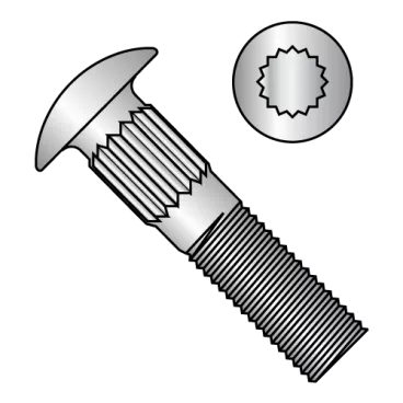 1/4-20X3/4  Ribbed Neck Carriage Bolt Fully Threaded 18 8 Stainless Steel
