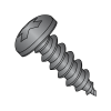 Pan - Phillips - Type AB - Self Tapping Screws - 18-8 Stainless w/ Black Oxide