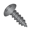 Truss - Phillips - Type AB - Self Tapping Screws - Black Oxide