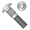 Ribbed Neck - Carriage Bolts - 18-8 Stainless