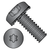 Pan - Six-Lobe - External - SEMS - Machine Screws - Black Zinc