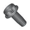 Hex Washer - Slotted - Type F - Thread Cutting Screws - Black Oxide