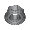 Serrated Hex Flange - Lock Nut - Black Zinc