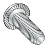 Pan Serrated - Phillips - Alternatives to Taptite® Thread Rolling Screws* - Zinc